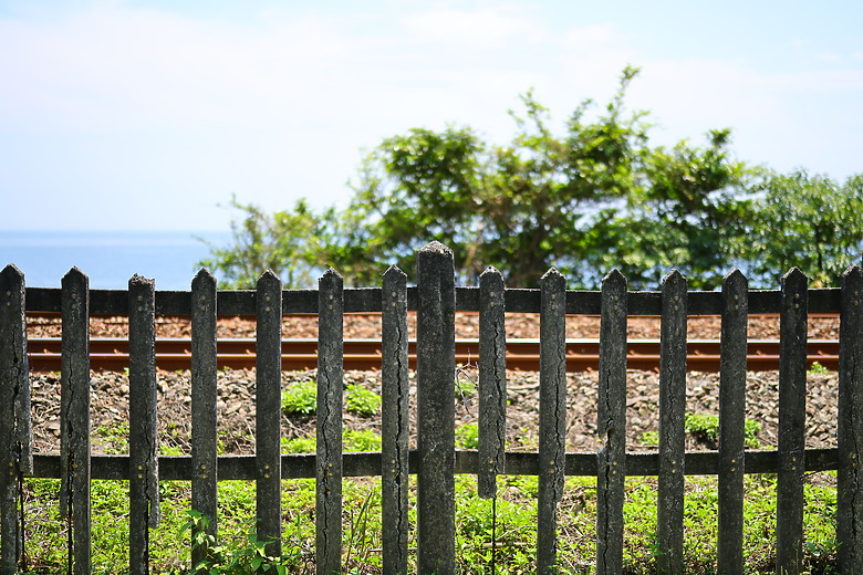 Canon RF 50mm f/1.4L VCM 評測報告｜攝錄混合實力派、全能標準鏡頭！