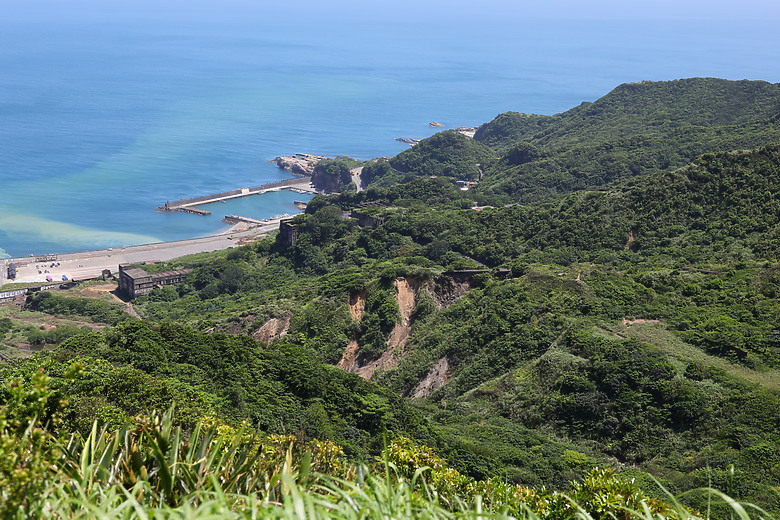 Canon RF 50mm f/1.4L VCM 評測報告｜攝錄混合實力派、全能標準鏡頭！