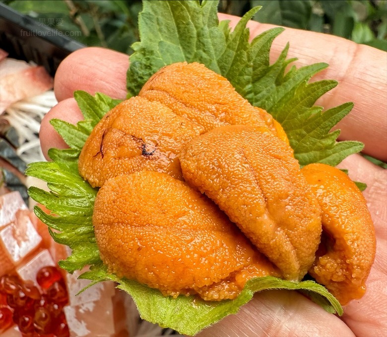 超隱密的生魚片,有許多特殊魚種的生魚片,新鮮、甘甜又超值