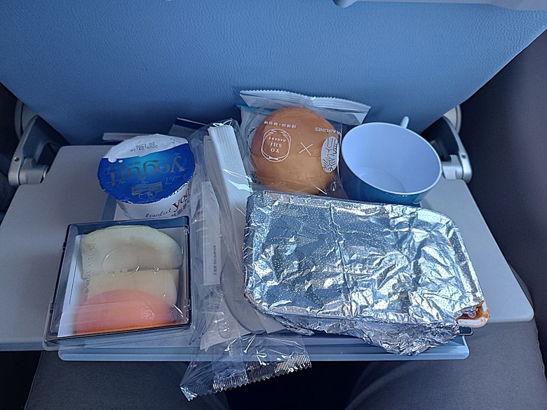 中越峴港自助旅行之景點簡述與交通攻略 — 華航CI787+CI790班機、峴港機場入出境、當地包車接送與Grab — 2025年越南峴港、會安、美山、順化、巴拿山太陽世界六日歷史文化及遊樂園之旅 — 「楔子」