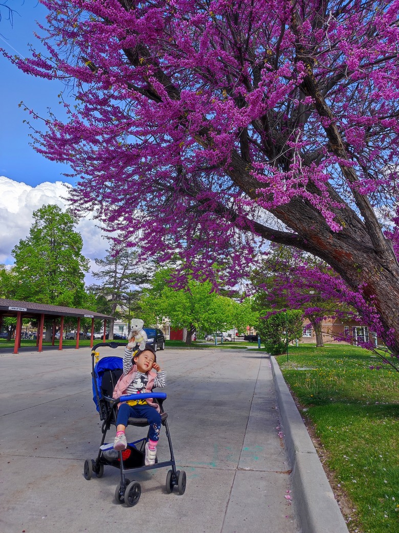 2025年,美國,小小孩跑旅,鹽湖城馬拉松,黃石國家公園^_^