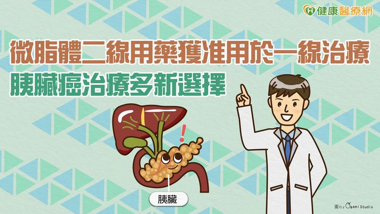 點我看大圖 微脂體二線用藥獲准用於一線治療胰臟癌治療多新選擇