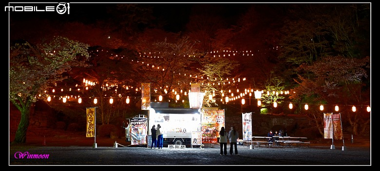 日本partial環島part3-騎過消逝之地的追櫻騎行