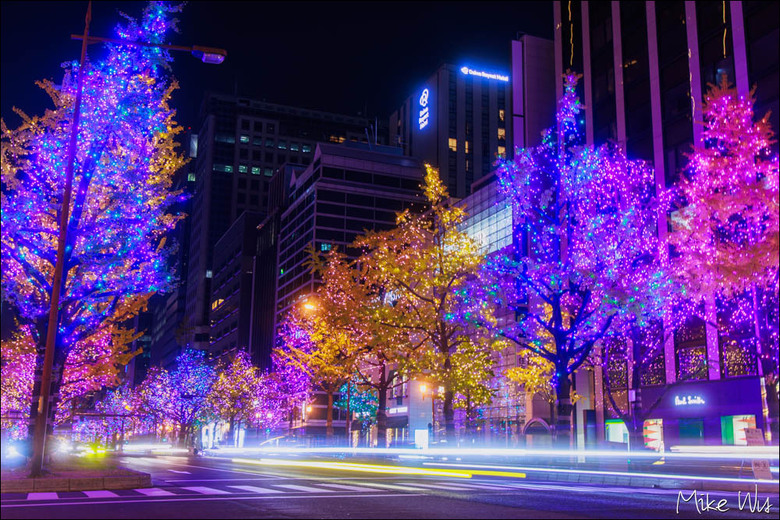 大阪賞楓自由行心得｜看見城市的秋日色彩與夜景交織的光影