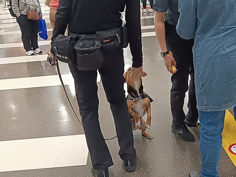中越峴港自助旅行之景點簡述與交通攻略 — 華航CI787+CI790班機、峴港機場入出境、當地包車接送與Grab — 2025年越南峴港、會安、美山、順化、巴拿山太陽世界六日歷史文化及遊樂園之旅 — 「楔子」
