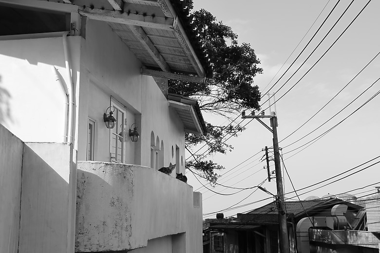 點我看大圖 Canon PowerShot V1 評測報告|16mm 超廣角上陣、創作者的全能神器!