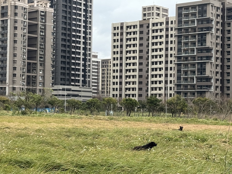 房子那麼多可以挑~還要考慮淡水嗎?