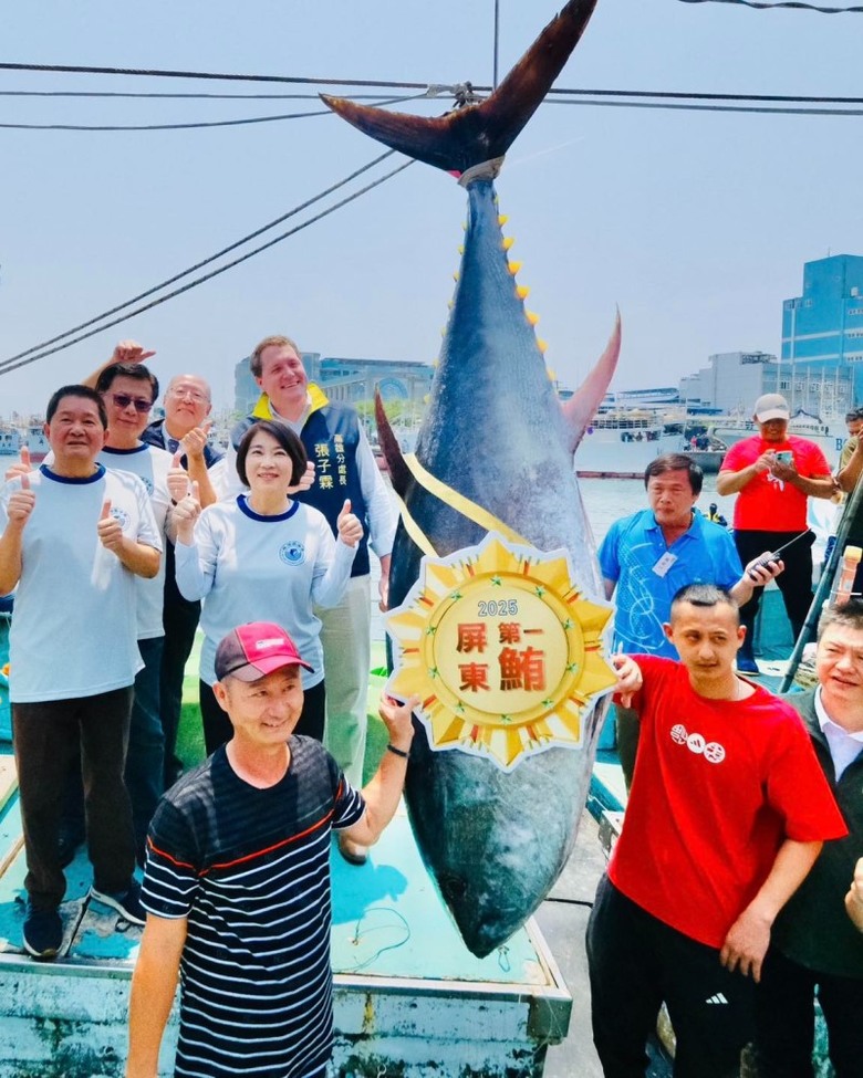 黑鮪魚季開嗨啦!屏東觀光季再創高潮 破百萬天價黑鮪魚出爐