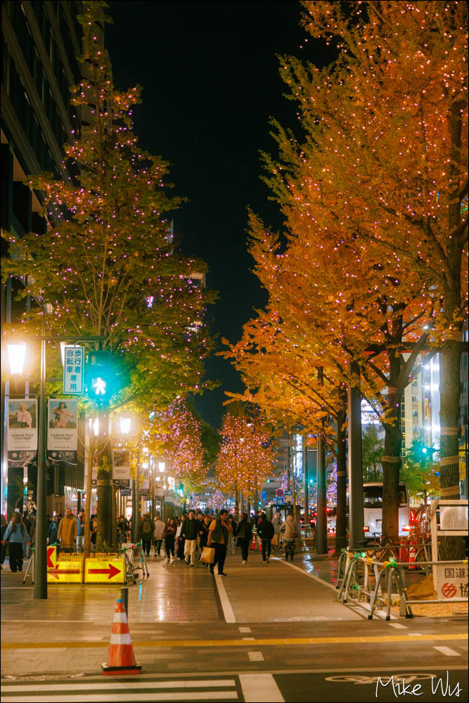 大阪賞楓自由行心得｜看見城市的秋日色彩與夜景交織的光影