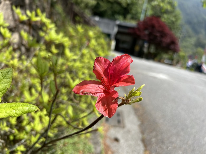 遊覽環島2 nd; 拉馬達星星；北條干雲；天龍古道；南橫公路；中之關古道；天池；海豹部隊