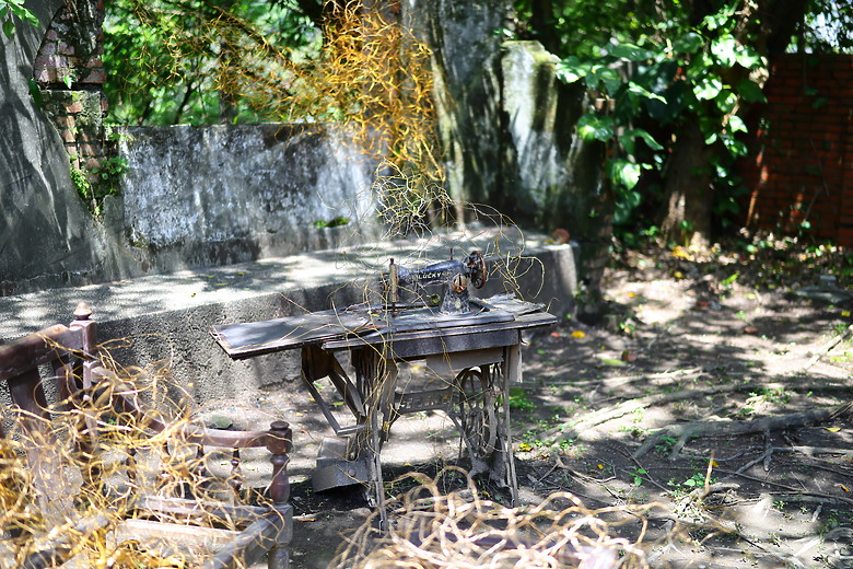 Canon RF 50mm f/1.4L VCM 評測報告｜攝錄混合實力派、全能標準鏡頭！