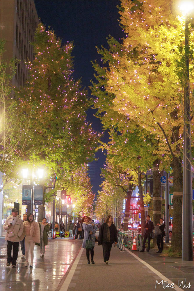 大阪賞楓自由行心得｜看見城市的秋日色彩與夜景交織的光影