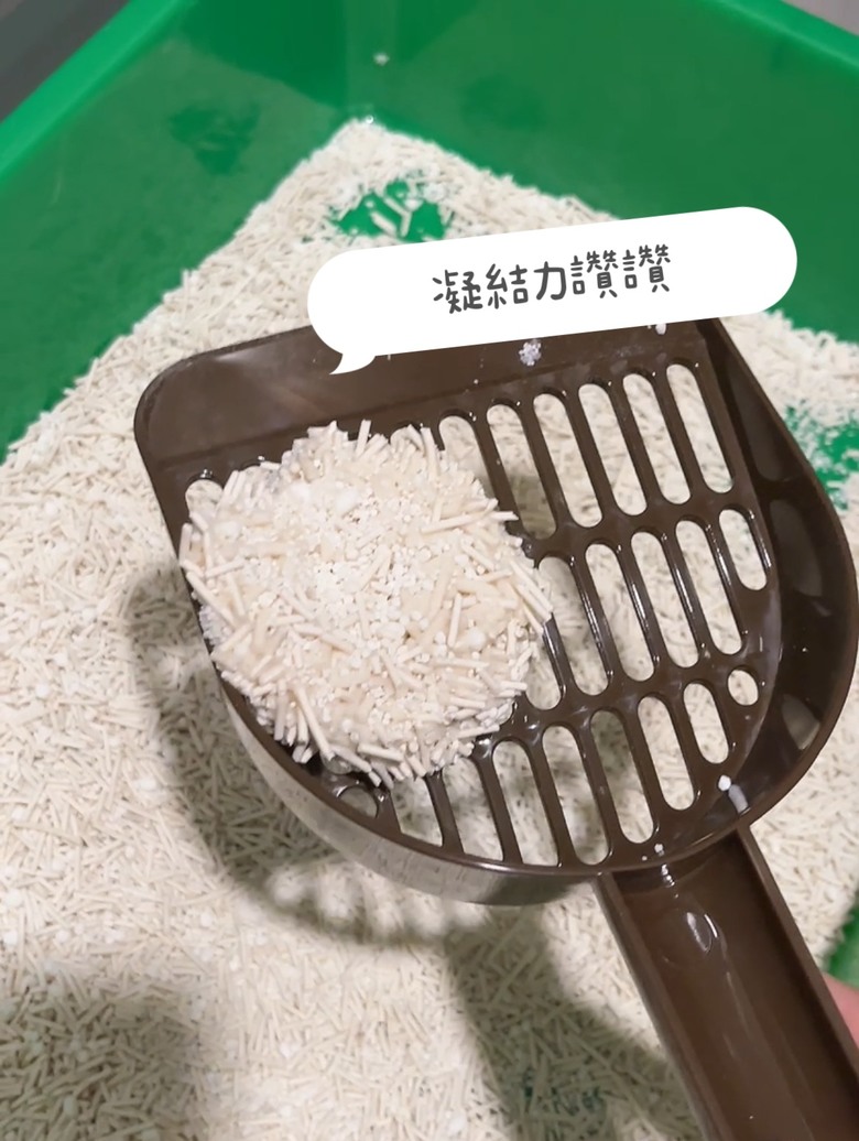 【貓砂推薦】告別用了九年的松木砂，轉愛木薯貓砂！整個非常好用，真心大推薦！