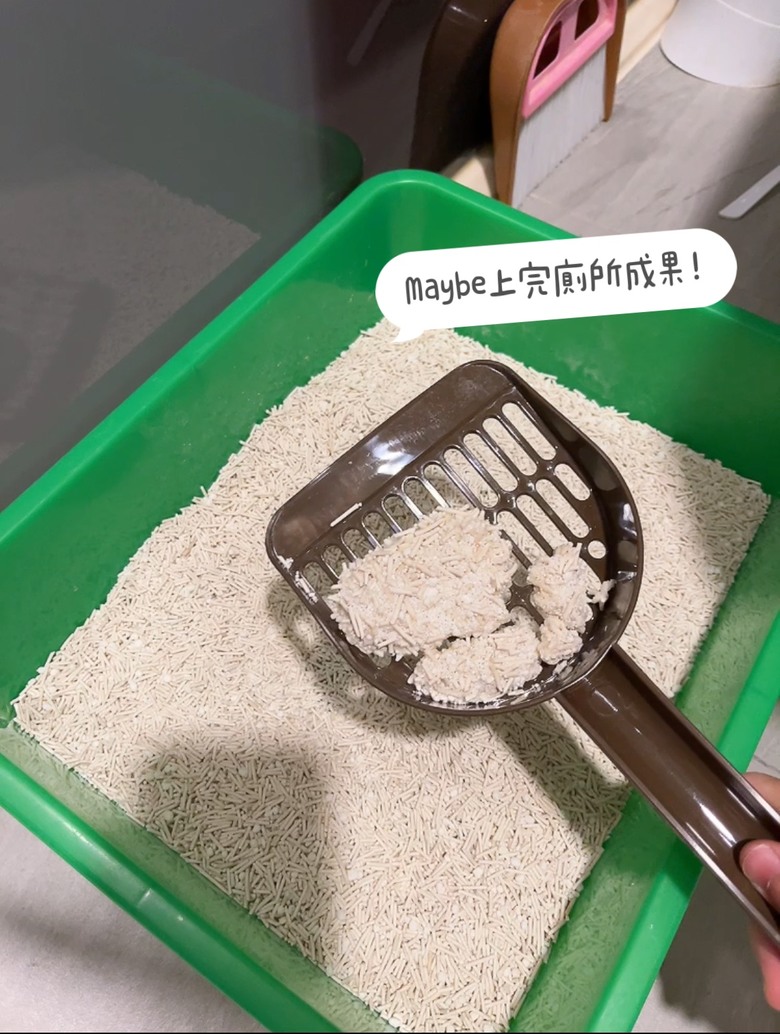 【貓砂推薦】告別用了九年的松木砂，轉愛木薯貓砂！整個非常好用，真心大推薦！