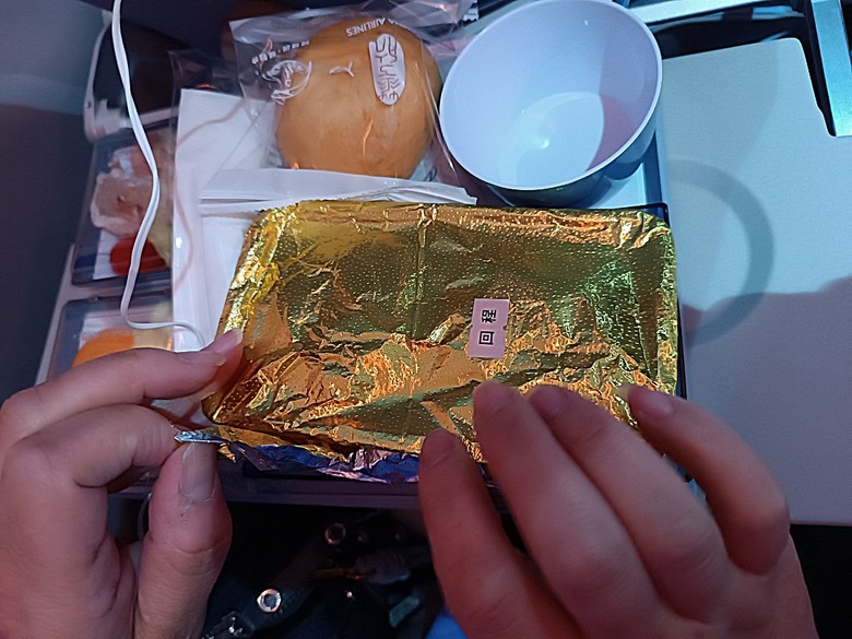 中越峴港自助旅行之景點簡述與交通攻略 — 華航CI787+CI790班機、峴港機場入出境、當地包車接送與Grab — 2025年越南峴港、會安、美山、順化、巴拿山太陽世界六日歷史文化及遊樂園之旅 — 「楔子」