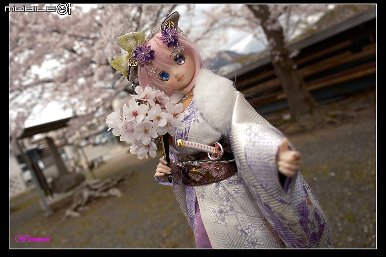 日本partial環島part3-騎過消逝之地的追櫻騎行