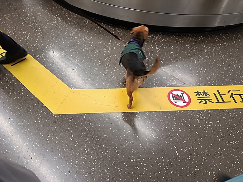 中越峴港自助旅行之景點簡述與交通攻略 — 華航CI787+CI790班機、峴港機場入出境、當地包車接送與Grab — 2025年越南峴港、會安、美山、順化、巴拿山太陽世界六日歷史文化及遊樂園之旅 — 「楔子」