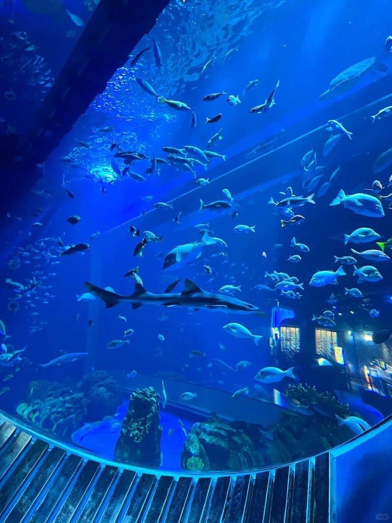 🇯🇵誰說沖繩只有美麗海水族館!🐟