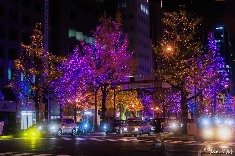 大阪賞楓自由行心得｜看見城市的秋日色彩與夜景交織的光影