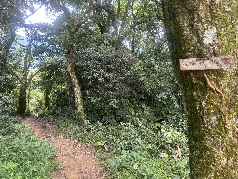 比百岳石門山更難的小百岳-桃園石門山步道