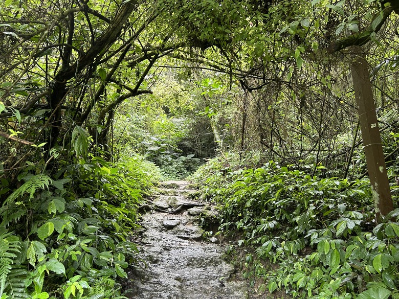 比百岳石門山更難的小百岳-桃園石門山步道