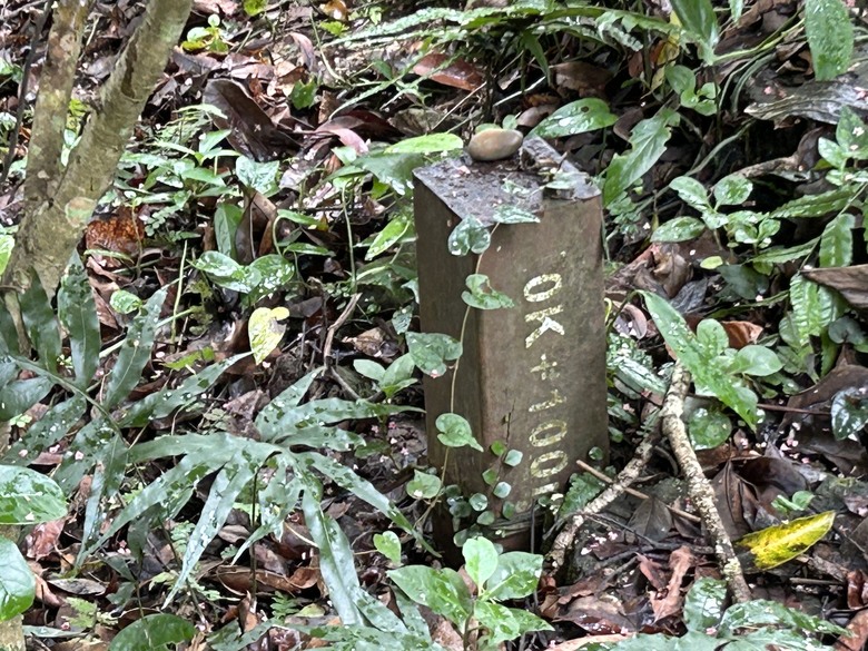 比百岳石門山更難的小百岳-桃園石門山步道