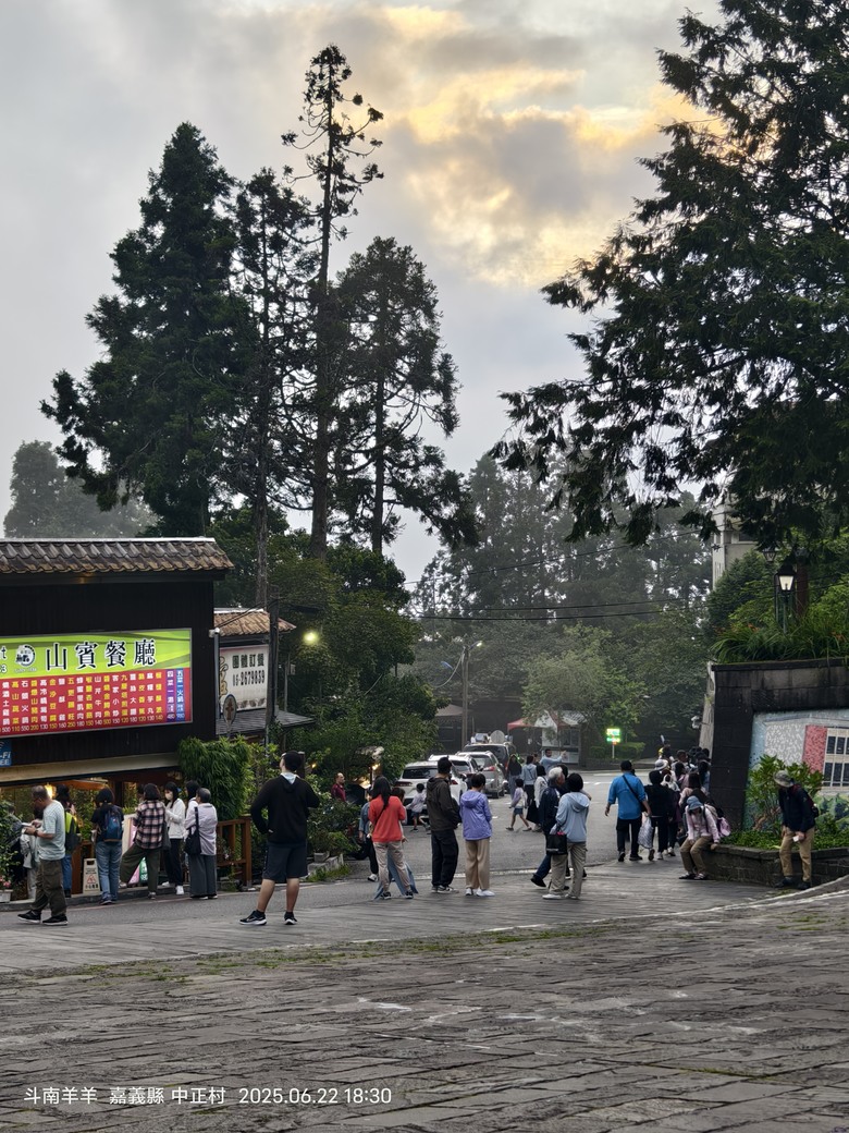 阿里山旅居 啟示與反思