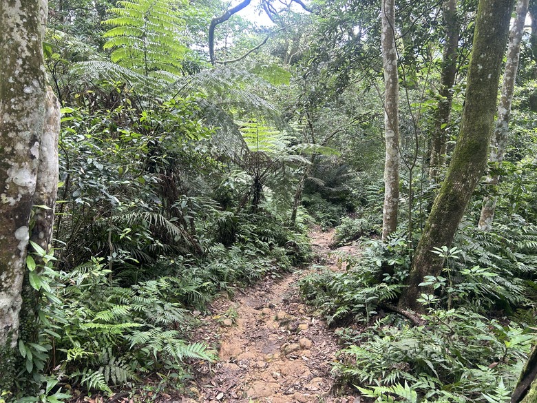 比百岳石門山更難的小百岳-桃園石門山步道