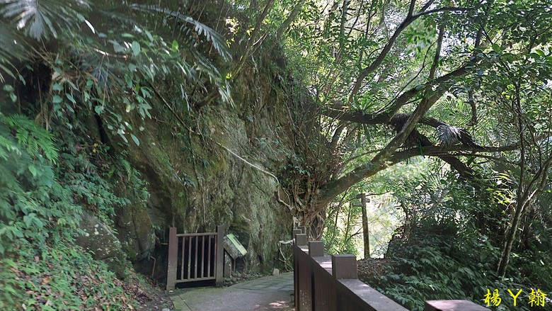 【郊山走走】烏來蝴蝶公園消暑愜意、輕鬆健行溪瀧步道、古圳步道