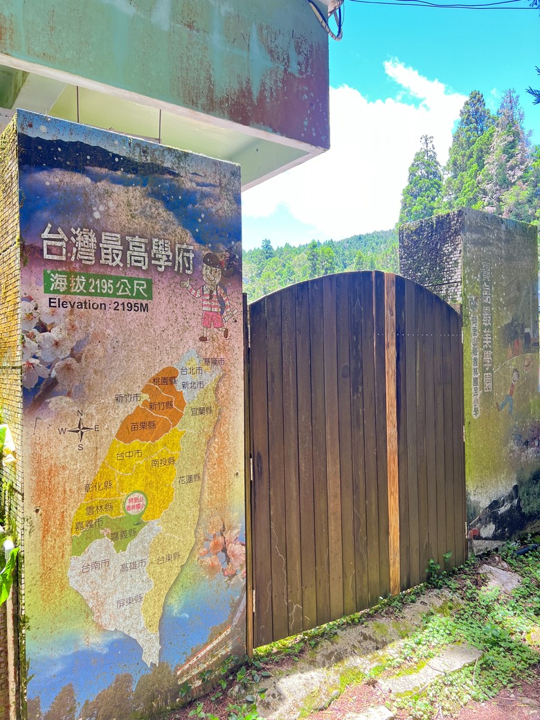 【阿里山開箱】搭神木線森林小火車 × 漫步巨木群步道 ｜走進檜木森林與時光的深處