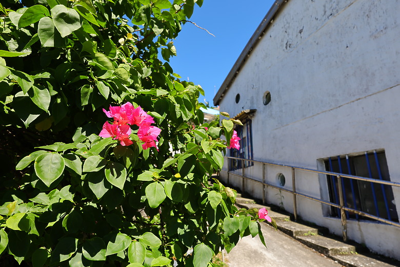 點我看大圖 Canon RF 20mm f/1.4L VCM 評測報告|開闊視野、攝錄混合一把罩!