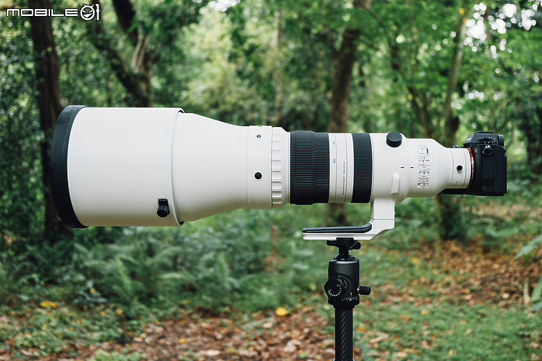 Sigma 300-600mm f/4 DG OS Sports 評測報告｜超望遠內變焦新標竿、一鏡封神誰與爭鋒！