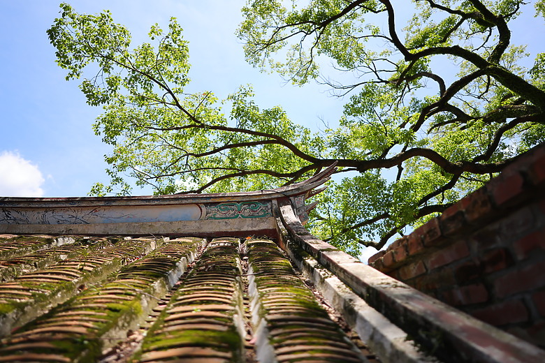 點我看大圖 Canon RF 20mm f/1.4L VCM 評測報告|開闊視野、攝錄混合一把罩!