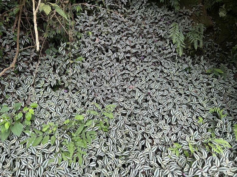 比百岳石門山更難的小百岳-桃園石門山步道
