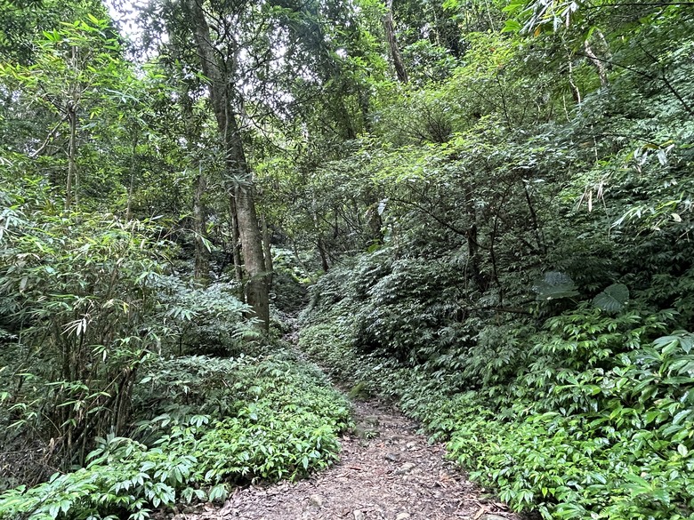 比百岳石門山更難的小百岳-桃園石門山步道