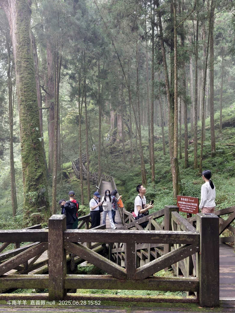 阿里山人文風情
