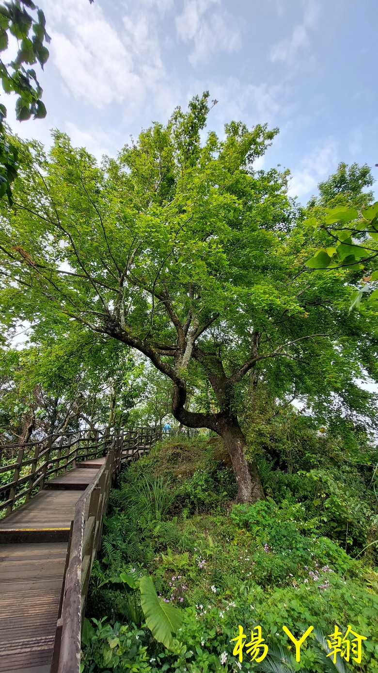 【郊山走走】北市近郊親子健行步道 仙跡岩