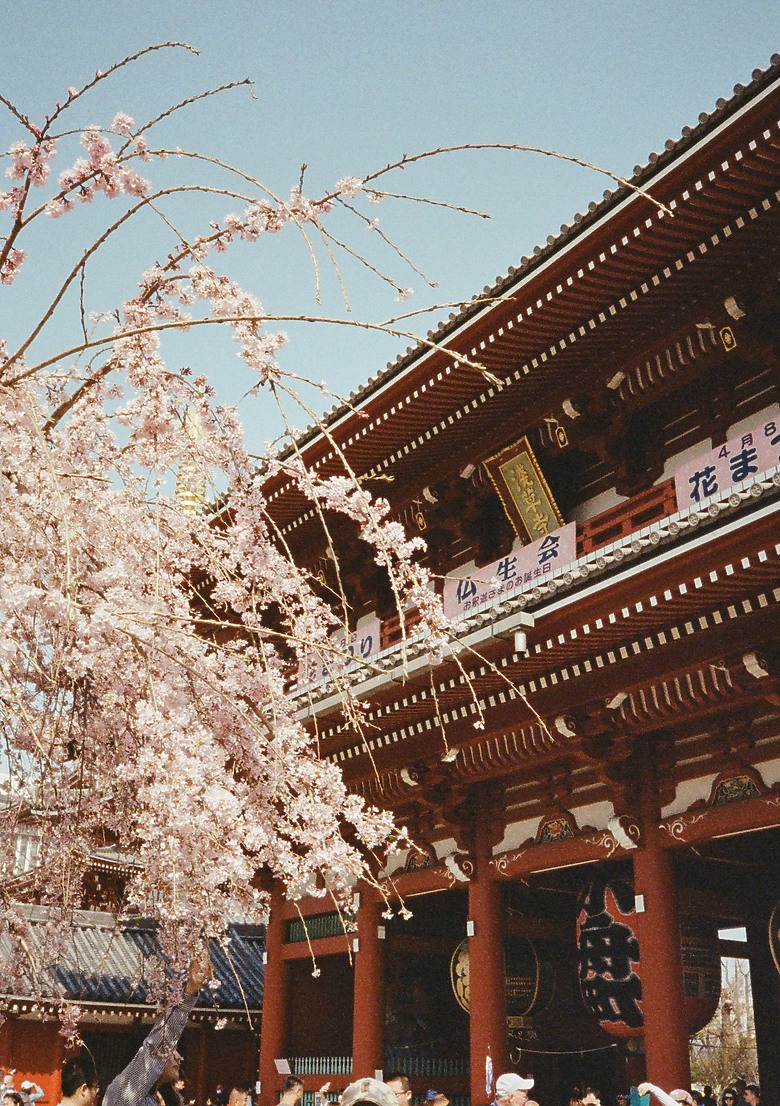 Pentax 17 旅行分享