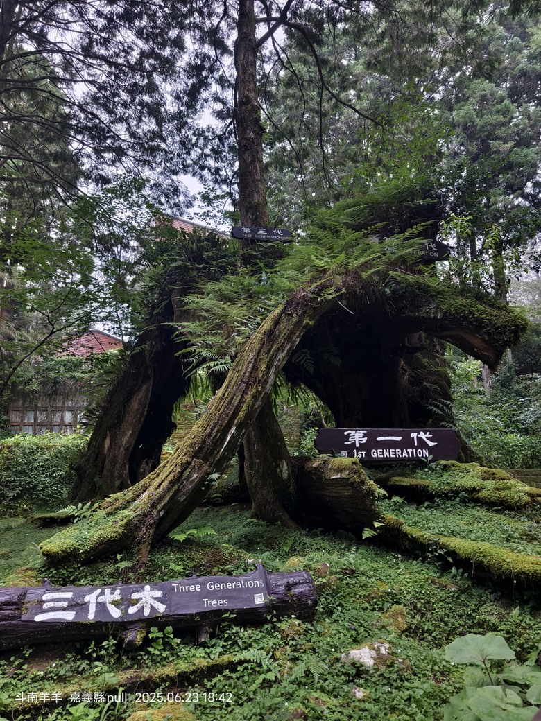 阿里山旅居 啟示與反思