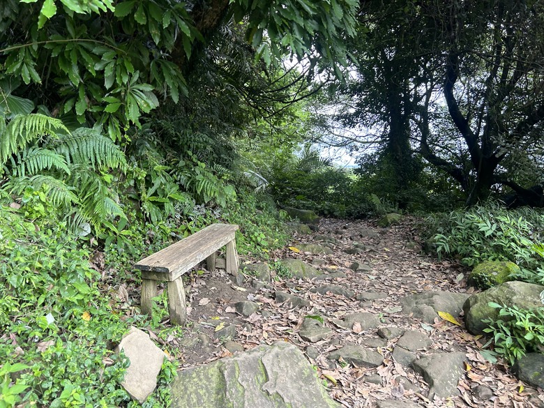 比百岳石門山更難的小百岳-桃園石門山步道