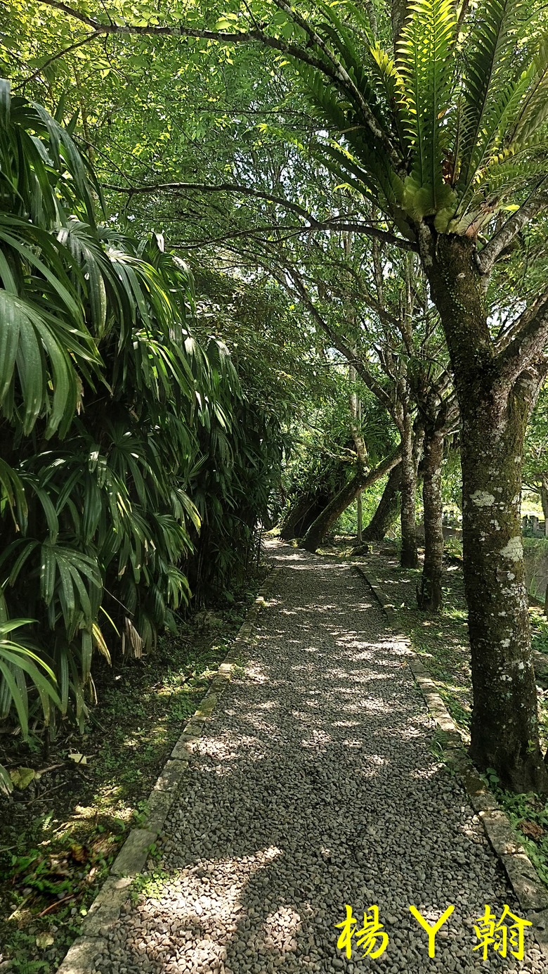 【郊山走走】烏來蝴蝶公園消暑愜意、輕鬆健行溪瀧步道、古圳步道