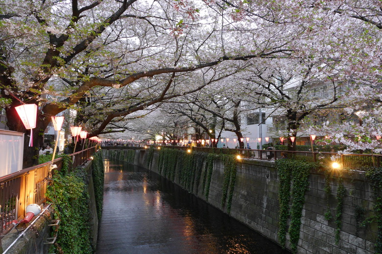 9年前的東京自助行 1