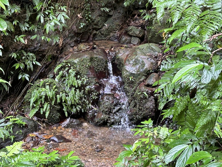 比百岳石門山更難的小百岳-桃園石門山步道
