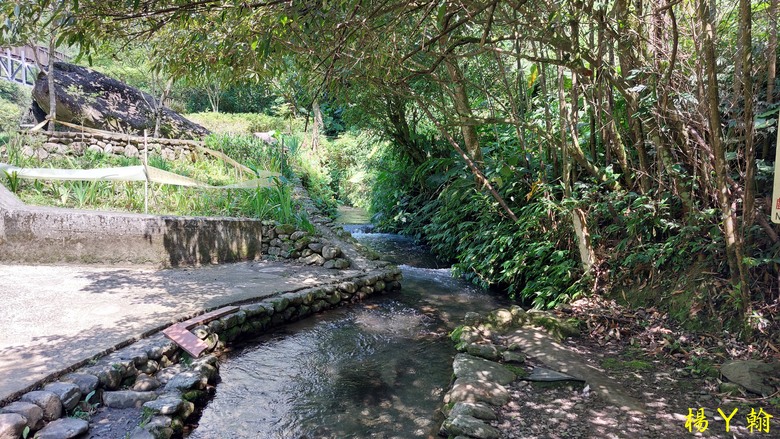 【郊山走走】烏來蝴蝶公園消暑愜意、輕鬆健行溪瀧步道、古圳步道