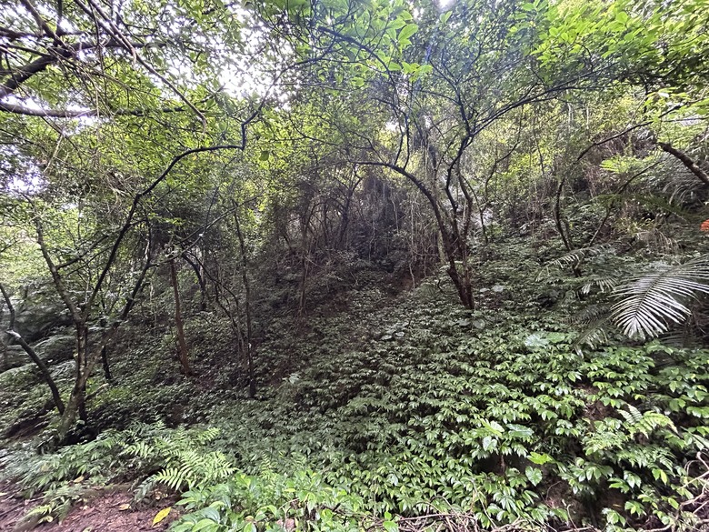 比百岳石門山更難的小百岳-桃園石門山步道