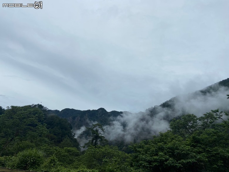 露營大家都帶什麼吃的喝的玩的?