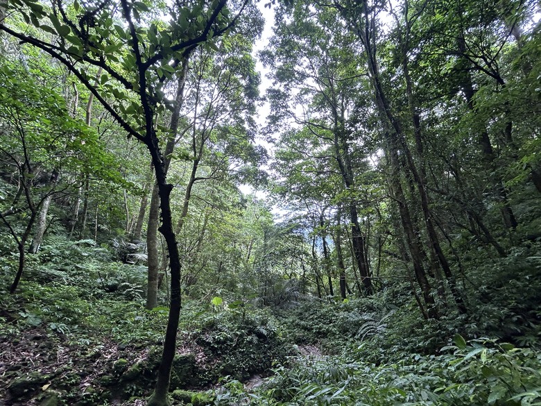 比百岳石門山更難的小百岳-桃園石門山步道