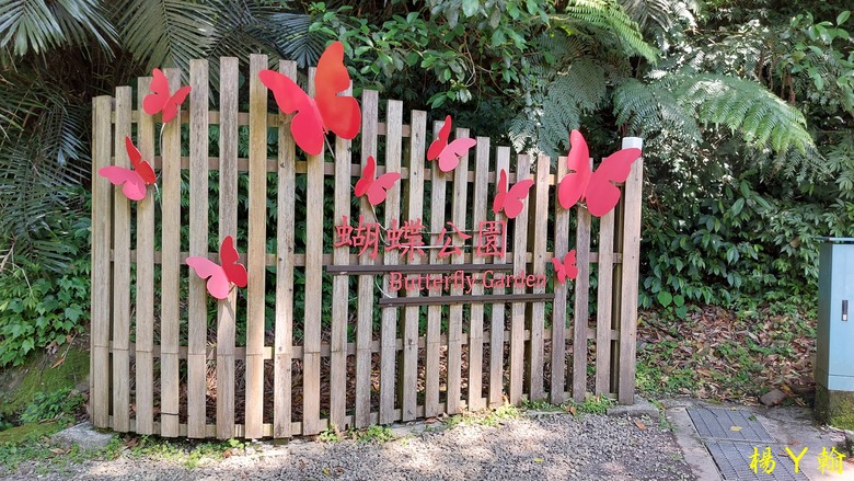 【郊山走走】烏來蝴蝶公園消暑愜意、輕鬆健行溪瀧步道、古圳步道