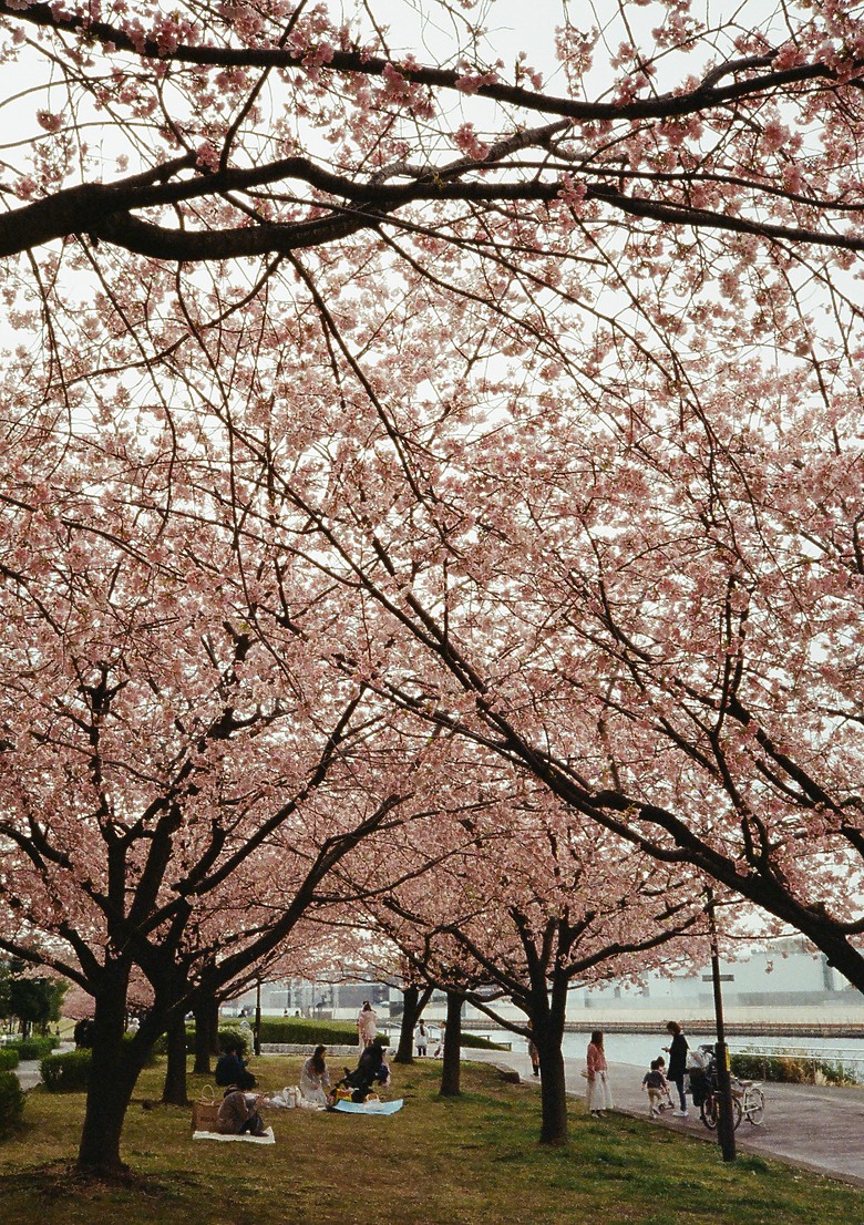 Pentax 17 旅行分享