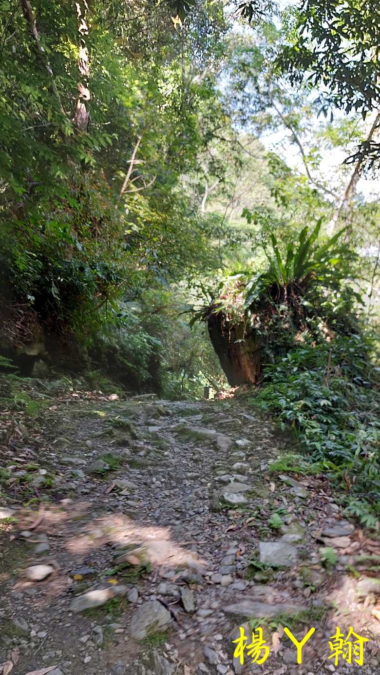 【郊山走走】烏來蝴蝶公園消暑愜意、輕鬆健行溪瀧步道、古圳步道